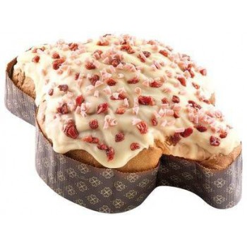 Colomba Stregata